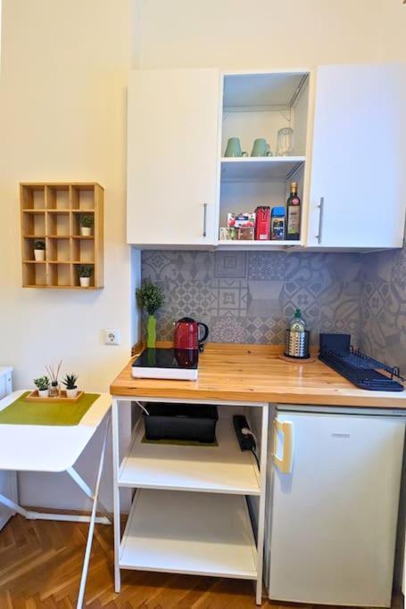 Cozy Ensuite Room In Zagreb Center Zewnętrze zdjęcie